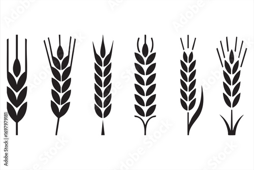 Farming and harvest icons featuring wheat, rye and cereal crop stalks