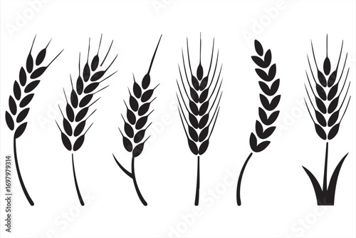 Wheat spike silhouette icons set with cereal grain plants isolated on white