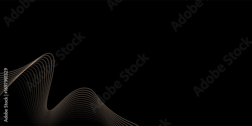 Top design black background with luxury golden elements vector illustration. texture