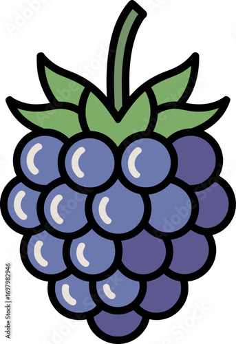 Vibrant Purple Berries Cluster with Green Leafy Top Isolated on White Background Featuring a Detailed Illustration of a Single Fruit