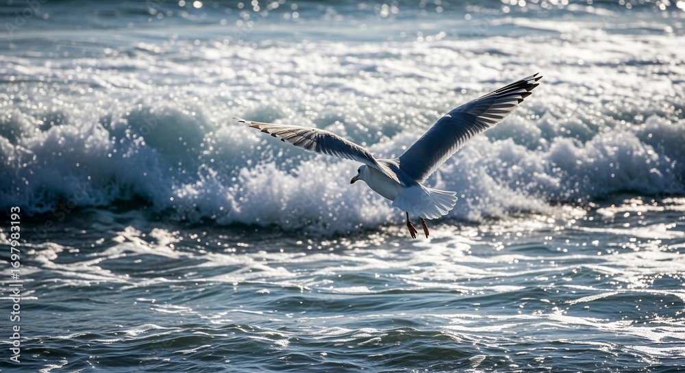 Obraz premium Seagull Flight Ocean A seagull in flight over ocean waves embodying freedom and the spirit of the sea