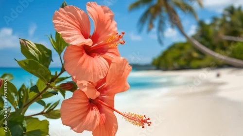 Vibrant hibiscus flowers swaying near a tropical beach.