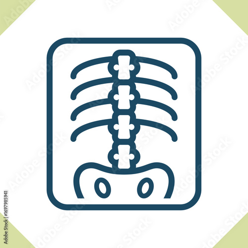X-Ray Icon