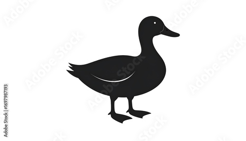 Silhouette of a duck (1)