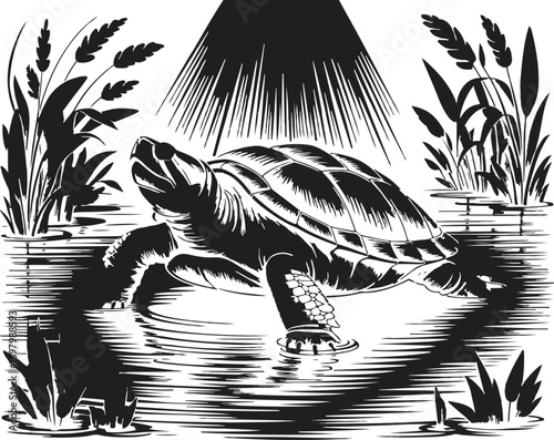 Vintage engraving Local Turtle sketch vector art illustration, old vintage turtle on water design.
