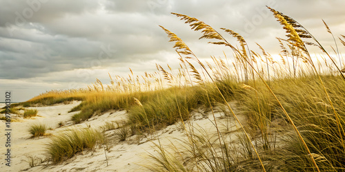 sea oats swaying in ocean breeze on pristine white sand dunes under cloudy sky