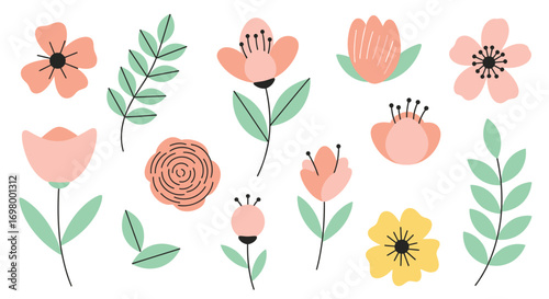 Elegant Floral Arrangement Delicate Blossoms, Leaves, and Botanical Illustrations for Design