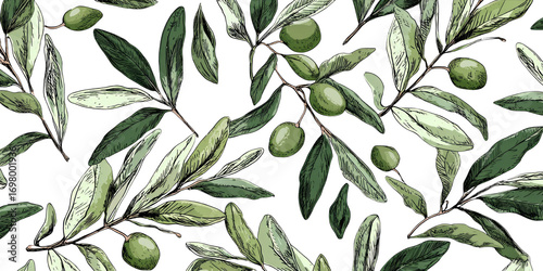 Elegant olive branch pattern with green leaves on transparency background