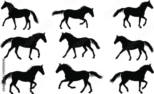 Nine black horse silhouettes in various running and walking gaits on white equine animal