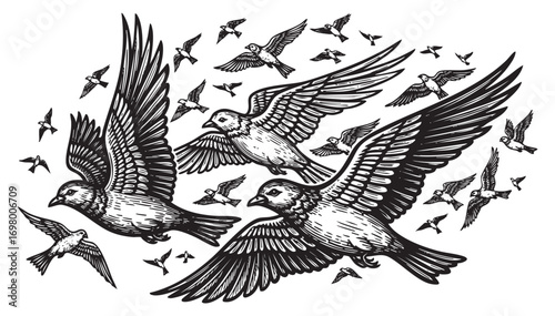 flock of birds engraving vector illustration