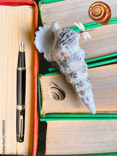 Arrangement of Old Books Seashells Pen and Dragonfly for Writer Inspiration