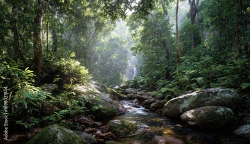 Lush rainforest creek with waterfall. Sunlight filters through canopy