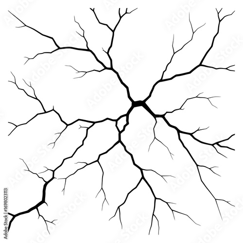 A Stark Black Tree Branch Network Design on White Background, Graphic Illustration, Abstract Art