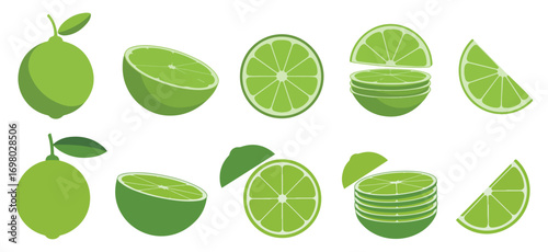 lime slice icon fresh citrus vector illustration