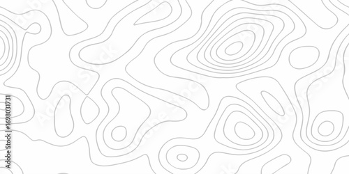 Abstract topographic White wave paper curved reliefs. Topographic map patterns, topography line map. Abstract white topography vector background. Contour maps. Vector illustration.