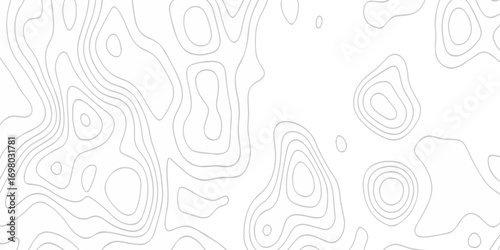 Abstract topographic White wave paper curved reliefs. Topographic map patterns, topography line map. Abstract white topography vector background. Contour maps. Vector illustration.