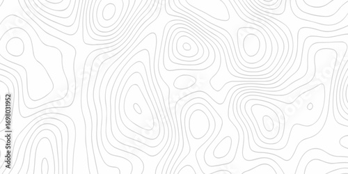 Abstract topographic White wave paper curved reliefs. Topographic map patterns, topography line map. Abstract white topography vector background. Contour maps. Vector illustration.