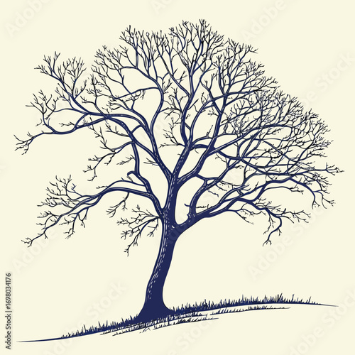 A solitary bare tree with intricate branches stands on a grassy hill against a soft cream background