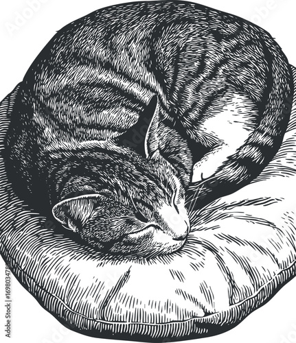 A cozy illustration of a sleeping cat curled up on a soft pillow. Black on transparent background.