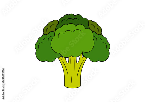 Brócoli verde de verdura en fondo blanco