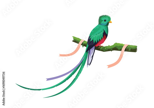 Resplendent Quetzal Perched on Branch Vibrant Plumage.