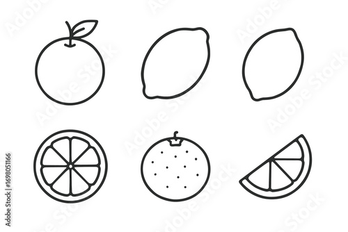 Simple line art of citrus fruits: orange, lemon, and lime