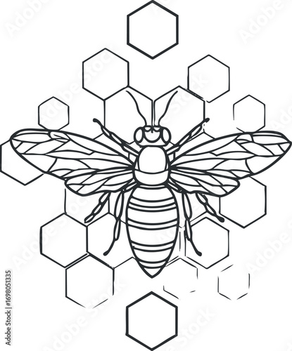 Illustration of a bee surrounded by hexagons representing honeycomb structure in a minimalist style. Black on transparent background.