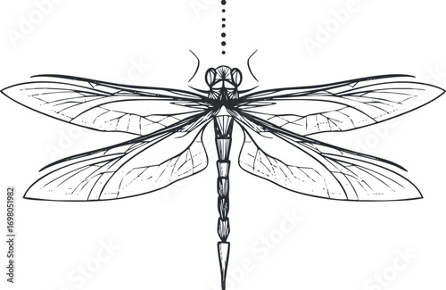 Detailed black and white illustration of a dragonfly showcasing its intricate wings and body. Black on transparent background.