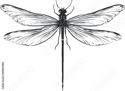 Detailed illustration of a dragonfly showcasing its intricate wings and body structure. Black on transparent background.