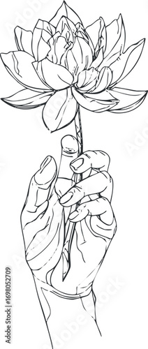A hand delicately holding a lotus flower in a minimalist line art style. Black on transparent background.