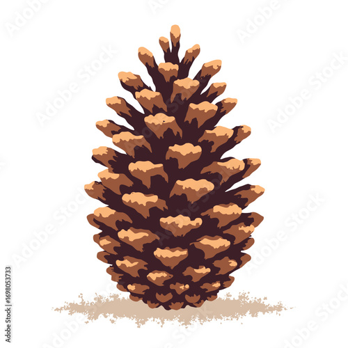 Pine cone — layered scales with small shadowing and subtle texture, white background