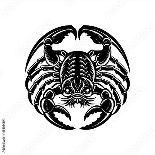 Stylized Black and White Scorpion Illustration.
