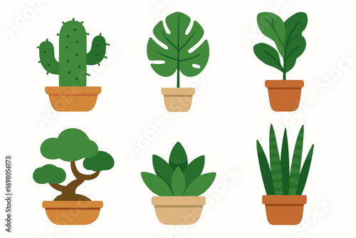 Variety of potted plants illustration featuring cactus, monstera, and ficus