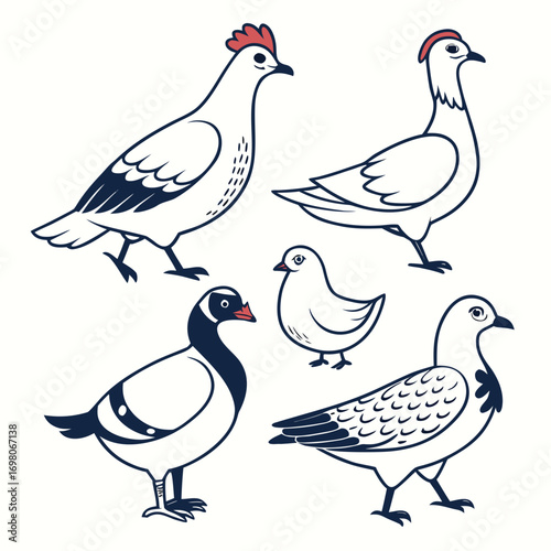 Collection of stylized cartoon birds including chickens and pigeons with simple line art and flat design