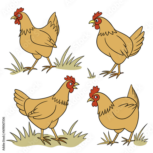 Four cartoon chickens standing in grass with white background in different poses