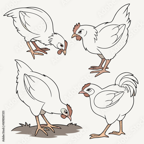 Four white chickens in different poses showing various activities like eating and standing