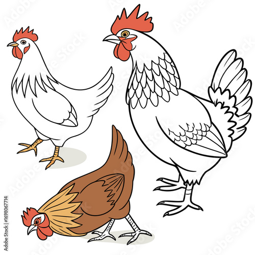 Three cartoon chickens including a white hen a rooster and a brown hen pecking the ground