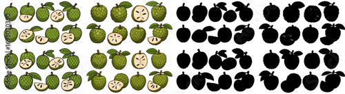 Pineapple slices and whole fruit with transparent background