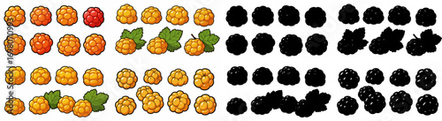 Tomato slices and dark shapes with transparent background