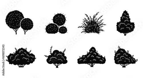 various types of trees and bushes illustrated in black and white