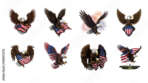Isolated Vector Asset Set of Patriotic USA Eagle Illustration with American Flag Design