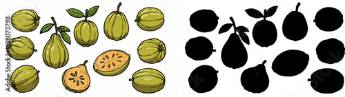 Pineapple slices and whole fruit with transparent background