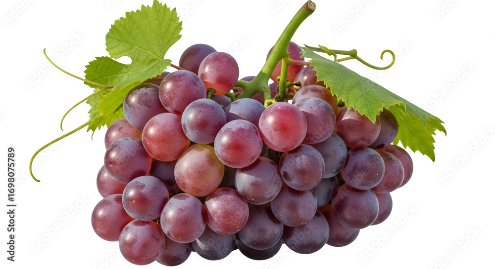 Fototapeta premium Bunch of ripe pink grapes with green leaves isolated PNG with Transparent Background