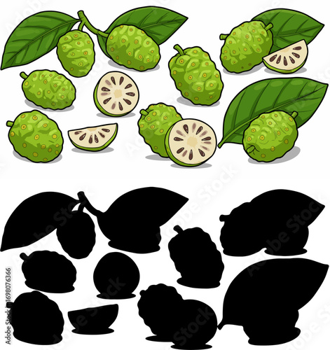Pear halves collection with transparent background