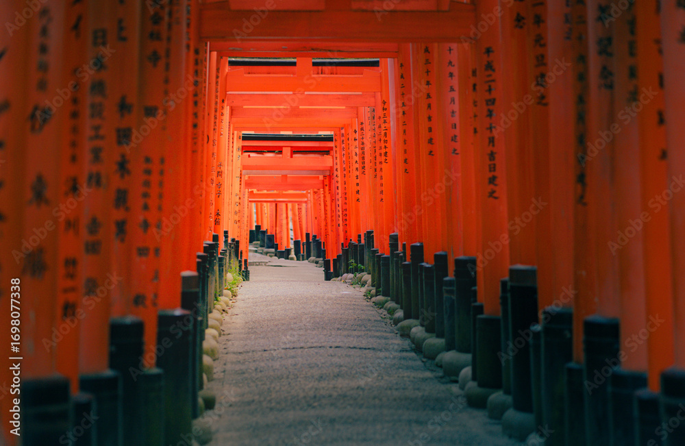Fototapeta premium Many unidentified tourists visit Fushimi Inari Shrine , Japan on SEPTEMBER 12, 2024