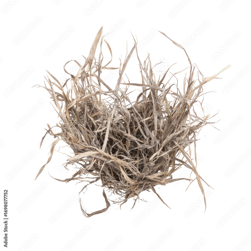 Obraz premium Close-up of a bird's nest made of dried grasses and twigs. The nest is a light beige color and appears compact and intricate