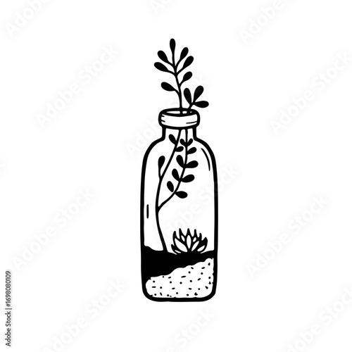 Delicate botanical growth flourishes within a minimalist glass bottle, evoking nature's resilience and simple beauty.