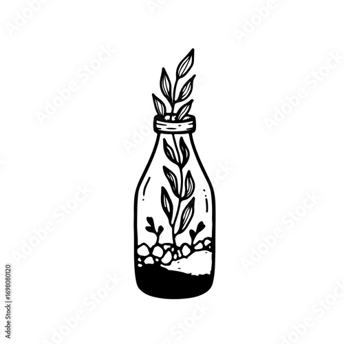 Delicate plant sprouts emerging from a glass bottle creating a unique botanical art piece