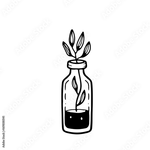 Delicate seedling sprouts from a glass bottle, symbolizing growth, new beginnings, and organic potential.