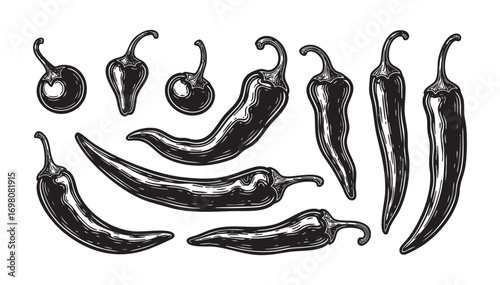 Chili pepper set engraving vector illustration